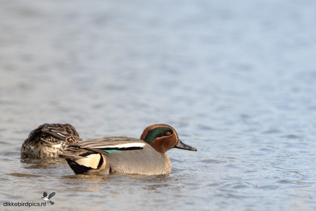 Wintertaling