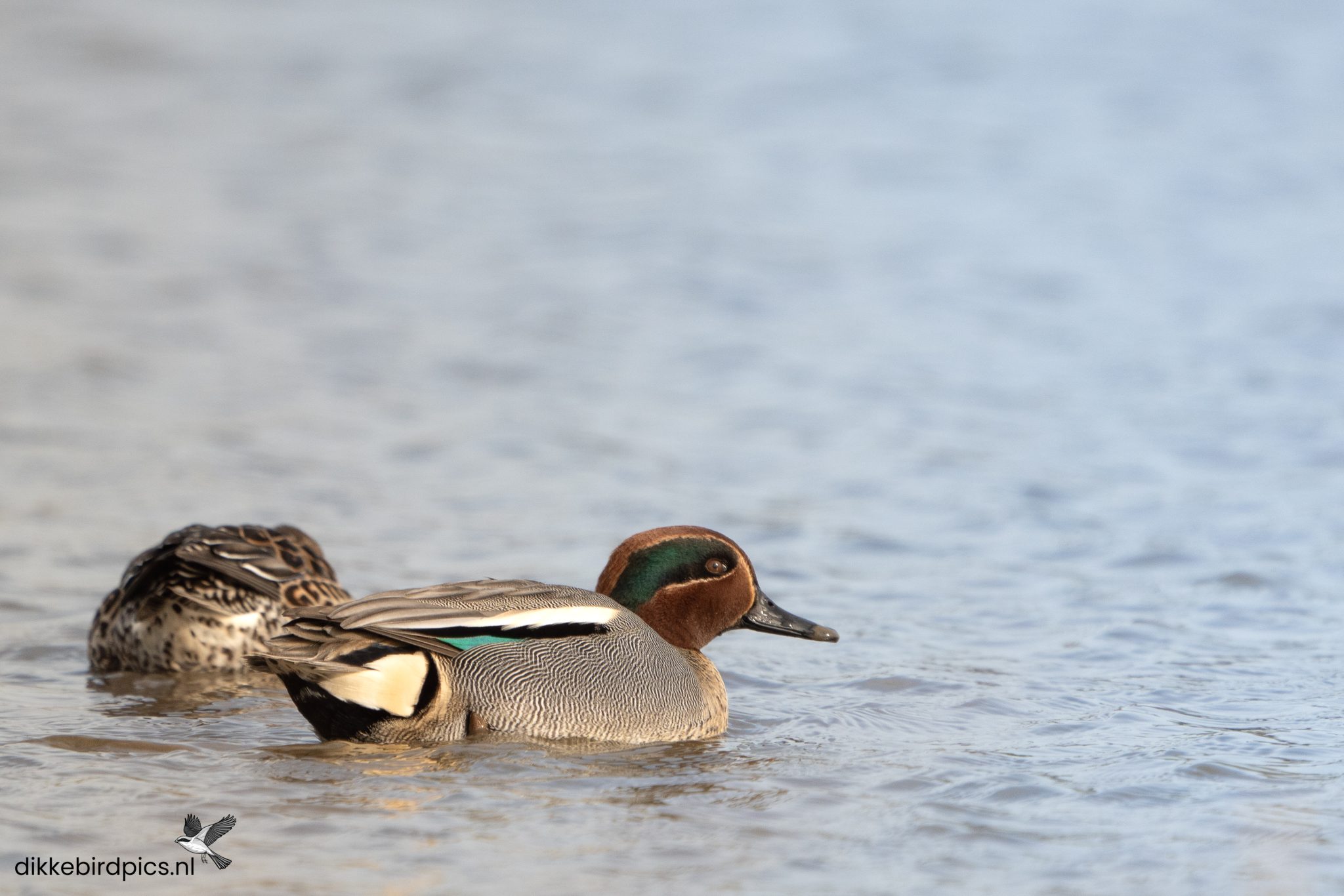 Wintertaling