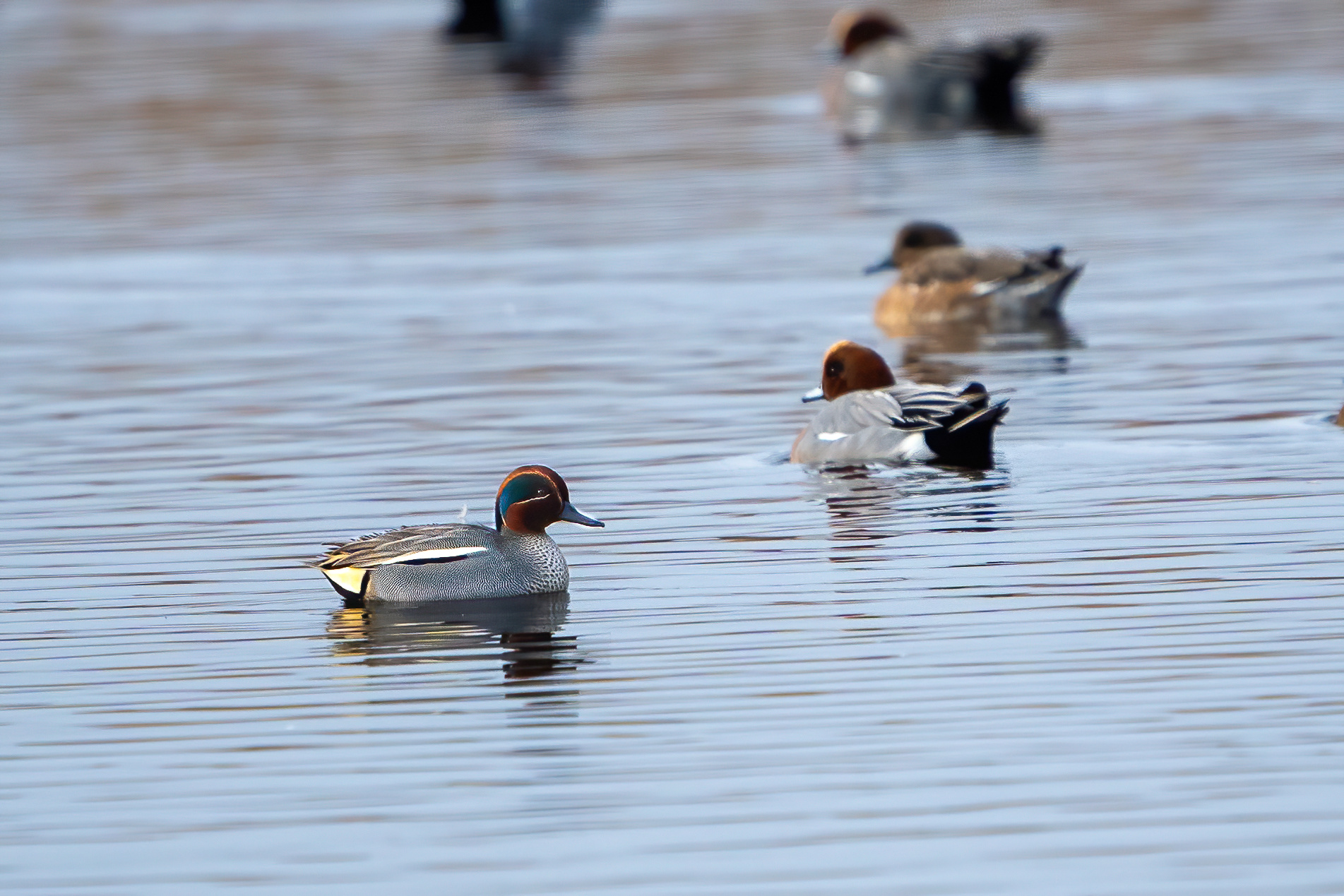 Wintertaling